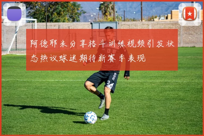 阿德耶米分享格斗训练视频引发状态热议球迷期待新赛季表现